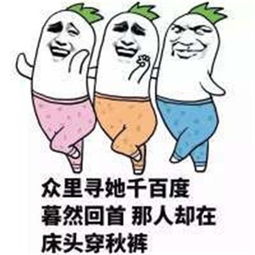 钓不动表情包台风
