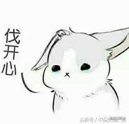 可爱兔兔表情包头像