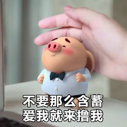 猪小屁表情包无水印版
