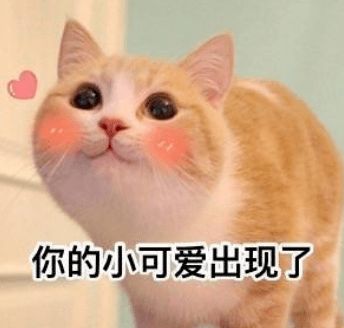 恭喜402间曲江新区公租房摇号结果公布赶紧看有你家吗