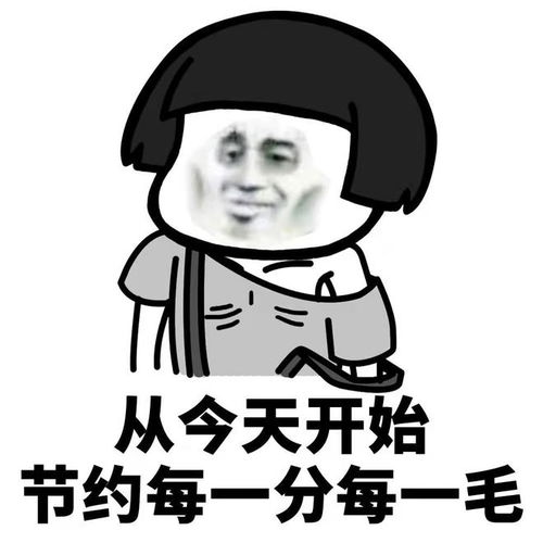 软件人和硬件人有啥区别