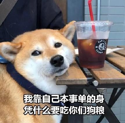 那些年,沙雕网友的奇葩分手理由,果然都是凭实力单的身