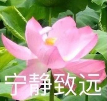 那些年被爸妈嫌弃过的微信头像