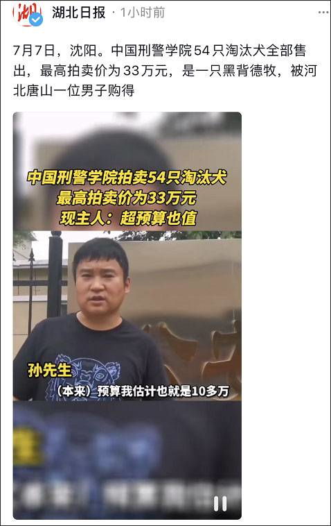 所有犬起价均为200元人民币,每次出价加价为50元及其整数倍