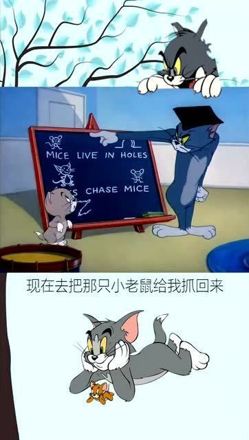 罗老师表情包动画猫和老鼠