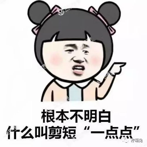 太热表情包换发型