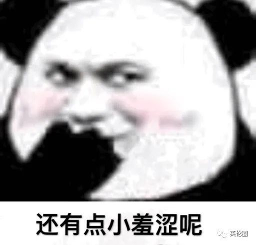 视频怎么做成表情包动图北大考古
