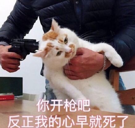 2017年最热表情包盘点,现在保存还来得及