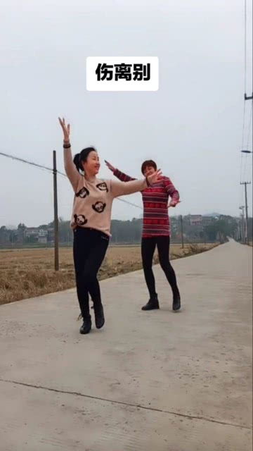 乡村大妈跳广场舞,太搞笑了