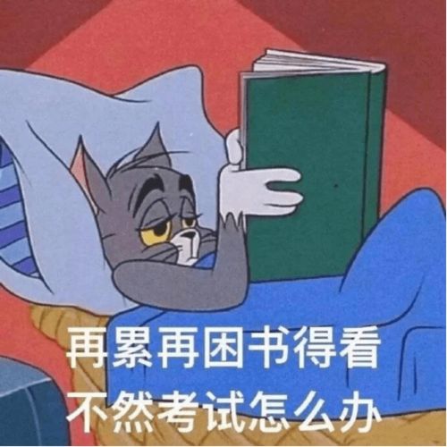 电亮未来大一新生自己收拾行李没挨骂的原因竟然是