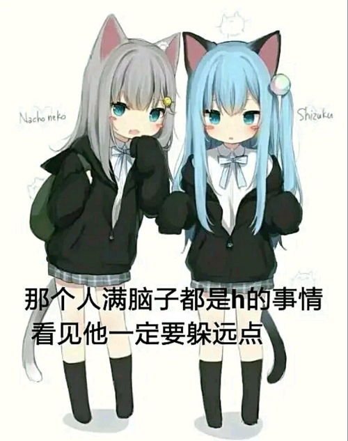 少女前线表情包搞笑男朋友