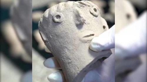 村民翻地翻出5000年前文物,文物造型让人忍俊不禁像emo表情包