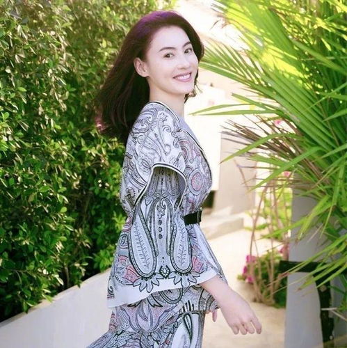 张柏芝神秘男友曝光,意外引出谢霆锋秘密,叮当力挽狂澜
