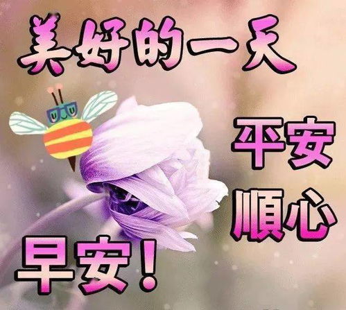 早上好表情包早上好问候语早上好图片大全