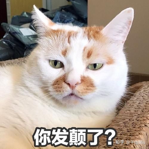 逗比沙雕又可爱的头像,可爱又不失沙雕的头像