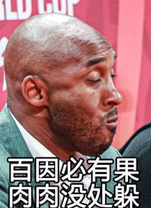 科比观看世界杯,表情包意外走红,球迷果然是奥斯卡得主