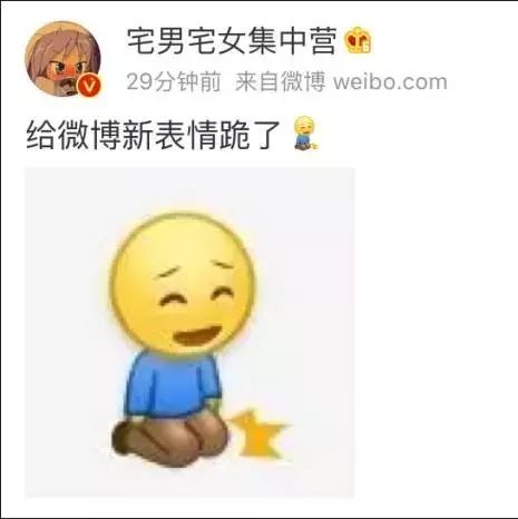 表情给跪了目测这个表情包要火表情包表情百搭表情