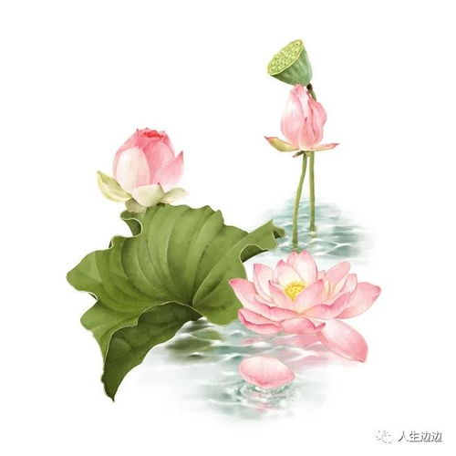 花迎春风,人乘东风,可总有人选择与众不同