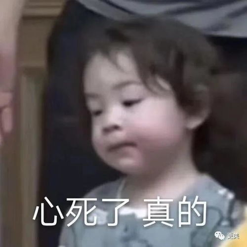 介入高晓松婚姻为红不择手段,性感老炮儿阿朵的前半生