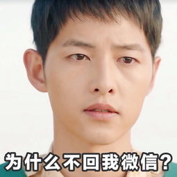 黄油相机app制作太阳的后裔宋仲基表情包