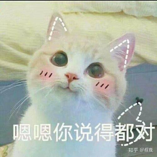 什么牌子的无线充电器比较好用