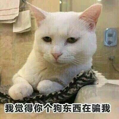 有没有怼男朋友的表情包