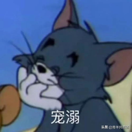 杰哥表情包让我康康敬业福