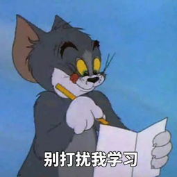 今日表情推荐418