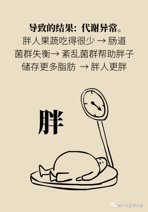 谁说胖子就是营养过剩,有一种胖叫营养不良