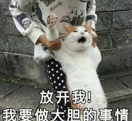 awsl男明星轮番睡衣诱惑上来我就输给千玺了