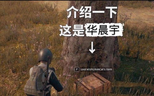 华晨宇玩游戏太菜,落地成盒遭关晓彤拒绝组队,et粉无情嘲笑