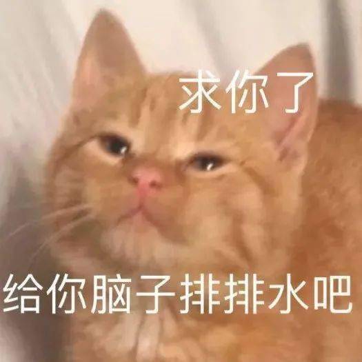沙雕表情别吵我,昨天都起过床了