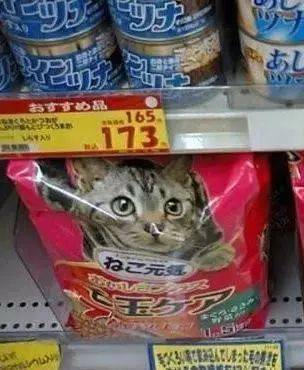 到超市买猫粮,看到两袋猫粮包装一样,但表情却不一样