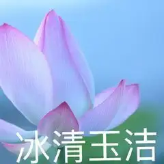 有哪些适合中年人用的头像