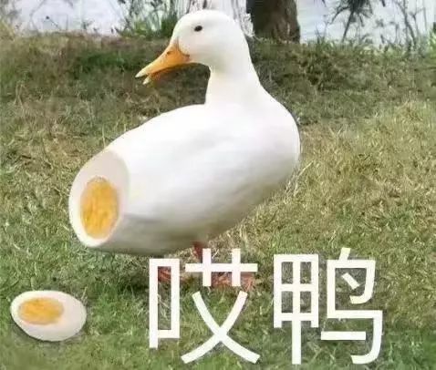 老六搞笑表情包鸭鸭
