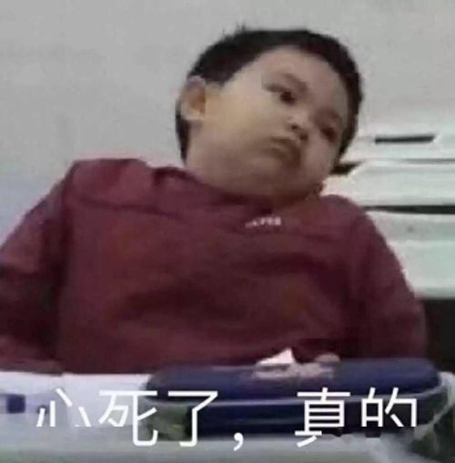全国最大的看片工具,今天正式复活