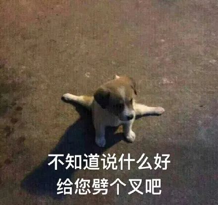 学习和工作,哪个更痛苦