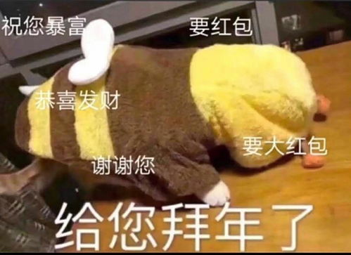 三八表情包拜年