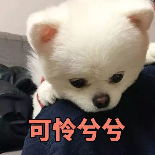 我削我儿子,我爸削我爷爷奶奶到底有多宠孙子孙女哈哈,瑟瑟发抖...