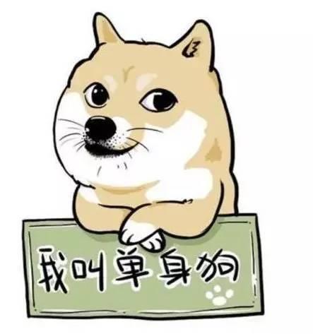 做我女朋友好吗我会像爱精酿啤酒一样爱你