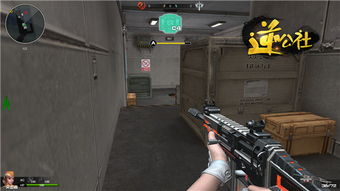 csgo冬瓜强表情包箱子