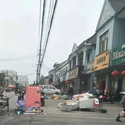 荻垛镇中心大街一女子下跪,原因扑朔迷离.....