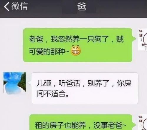 大学生晒和父母聊天记录,一个表情包敷衍了事,是亲生的没错了