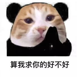 欠周星驰的电影票,你还去交吗