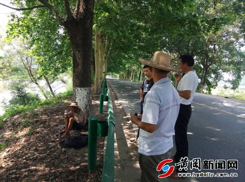 60岁老年人姓林微信头像女头