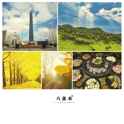 醉美贵州贵州创意字体