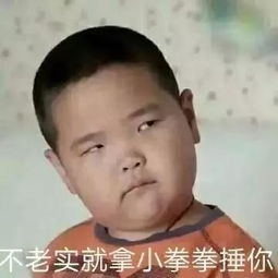 新一代表情包霸主谢飞机的日常