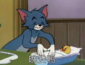 表情包,直男怎么哄女生,土味套路情话你想知道么