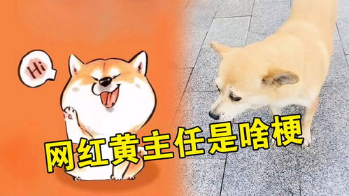 送走17届毕业生的黄主任,不仅被人民日报报道,还被做成表情包