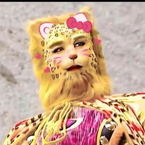 金钱豹头像来咯